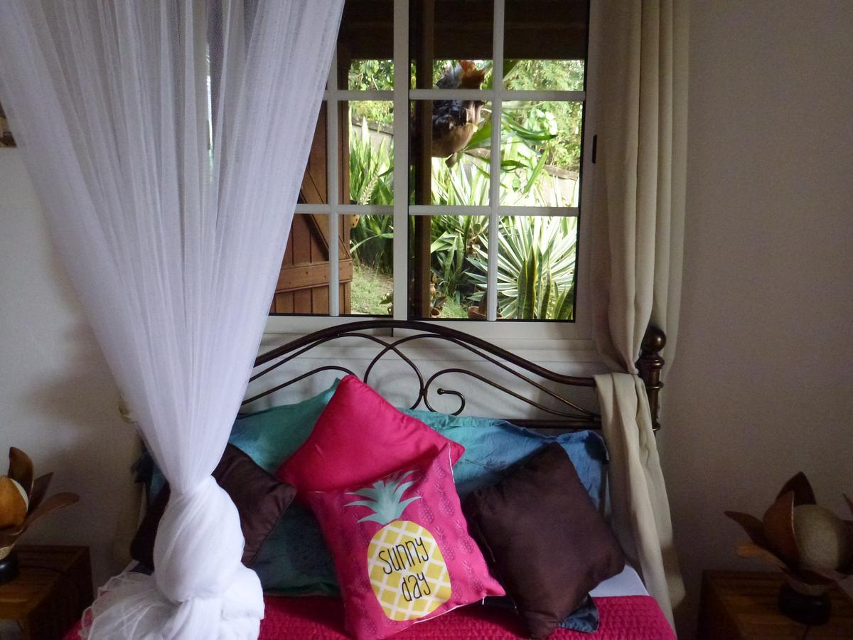 Kreyol Lodges - Suite Kayou Deshaies Dış mekan fotoğraf