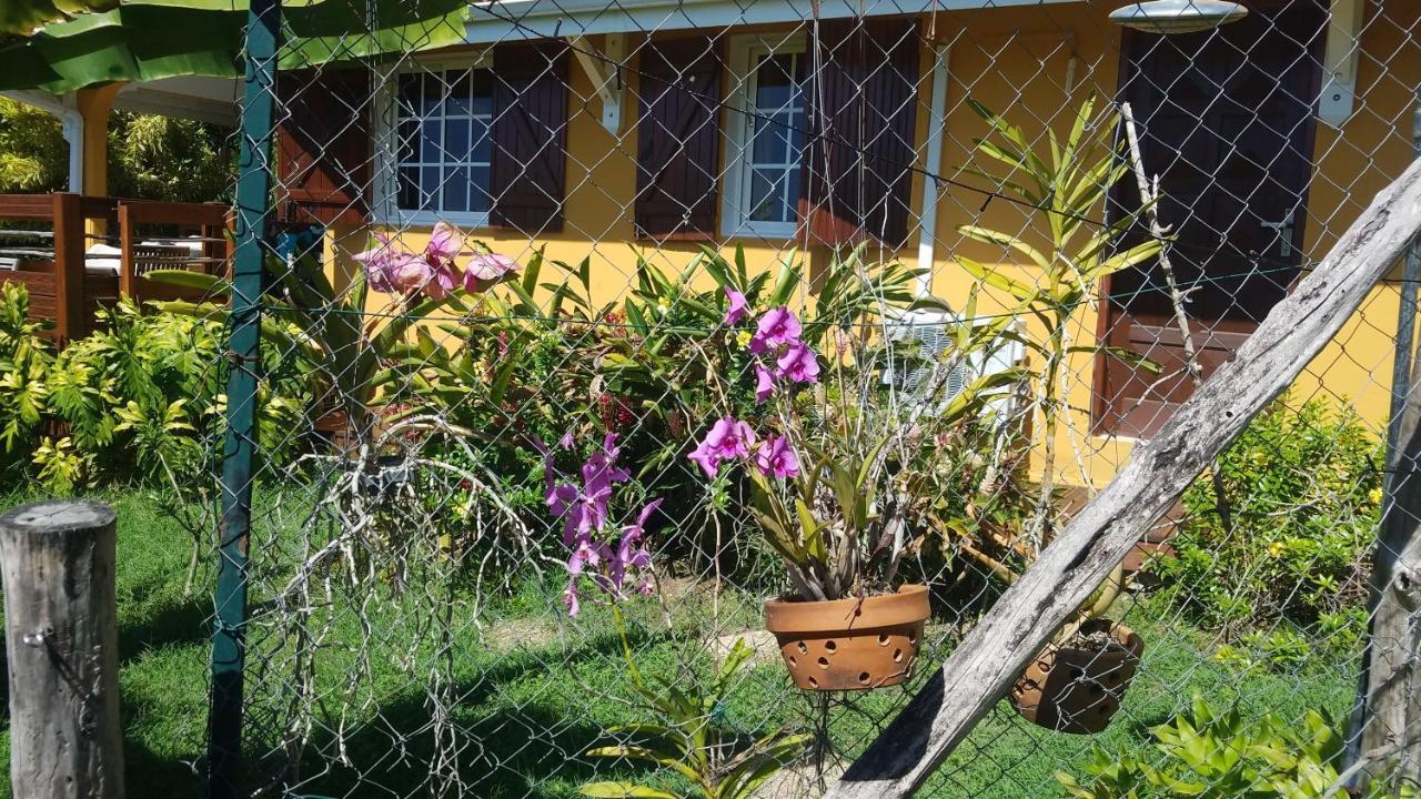 Kreyol Lodges - Suite Kayou Deshaies Dış mekan fotoğraf